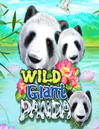 สุดยอดสูตรทางเข้ า ufabet ภาษาไทย เล่นอย่างเซียน